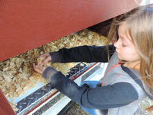 Load image into Gallery viewer, Mini Phoenix Chicken Coop